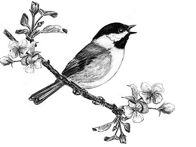 0ee607678f17c5a026af3f563f4a1d97_birds-singing-bird-bird-draw-bird-on-flowers-pets-drawing-of-a-bird-singing_424-298.png