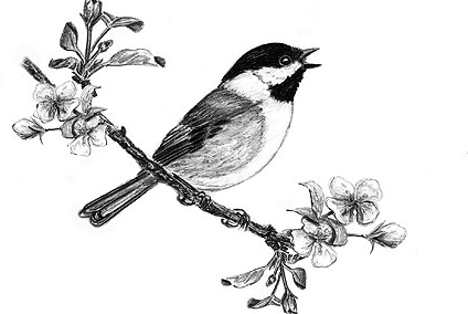 0ee607678f17c5a026af3f563f4a1d97_birds-singing-bird-bird-draw-bird-on-flowers-pets-drawing-of-a-bird-singing_424-298.png