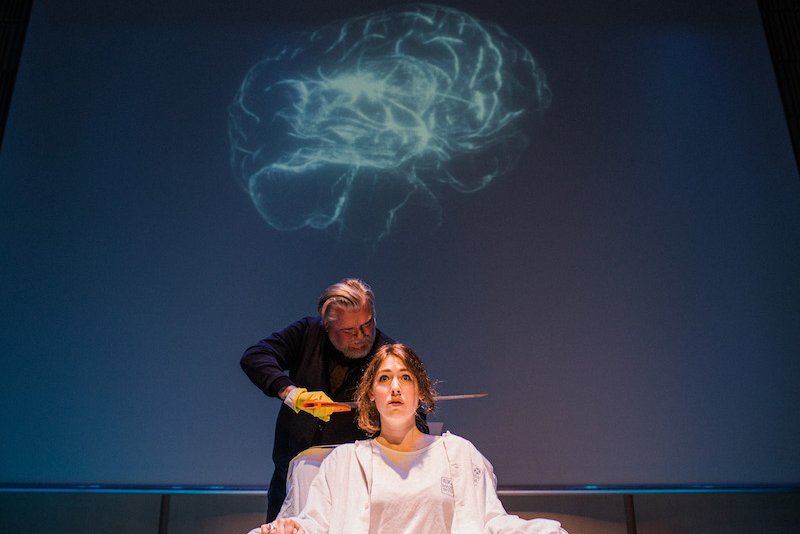 Music and the Brain