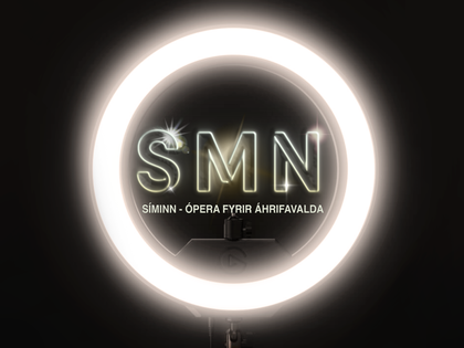 SMN_web